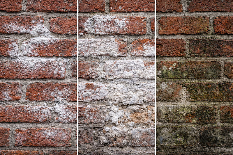 Comparaison dépôts blanchâtres sur mur extérieur liés à l’humidité